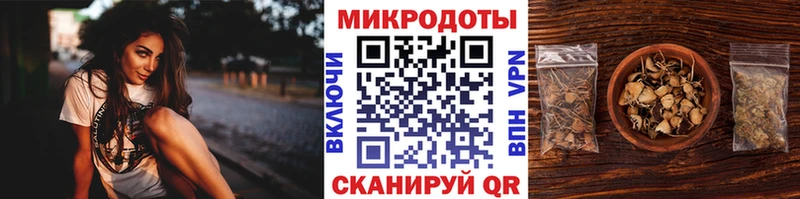 OMG зеркало  Мамоново  Галлюциногенные грибы мицелий 